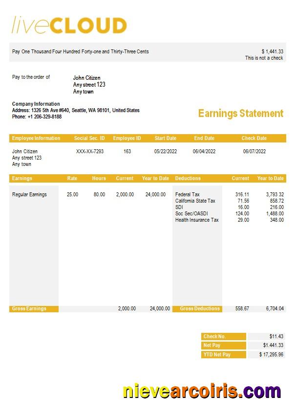 cloud storage paystub